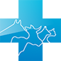 gomeovet.ru icon