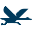 goosecoffee.ca icon