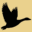 goosewatch.com icon