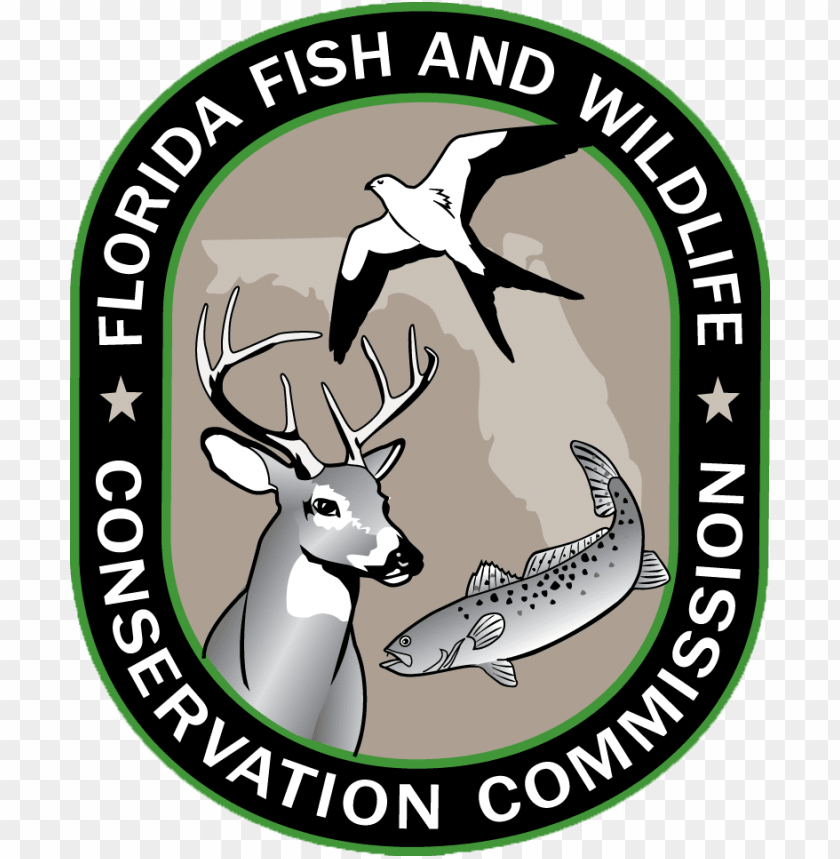 gooutdoorsflorida.com icon