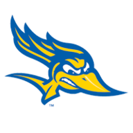 gorunners.com logo