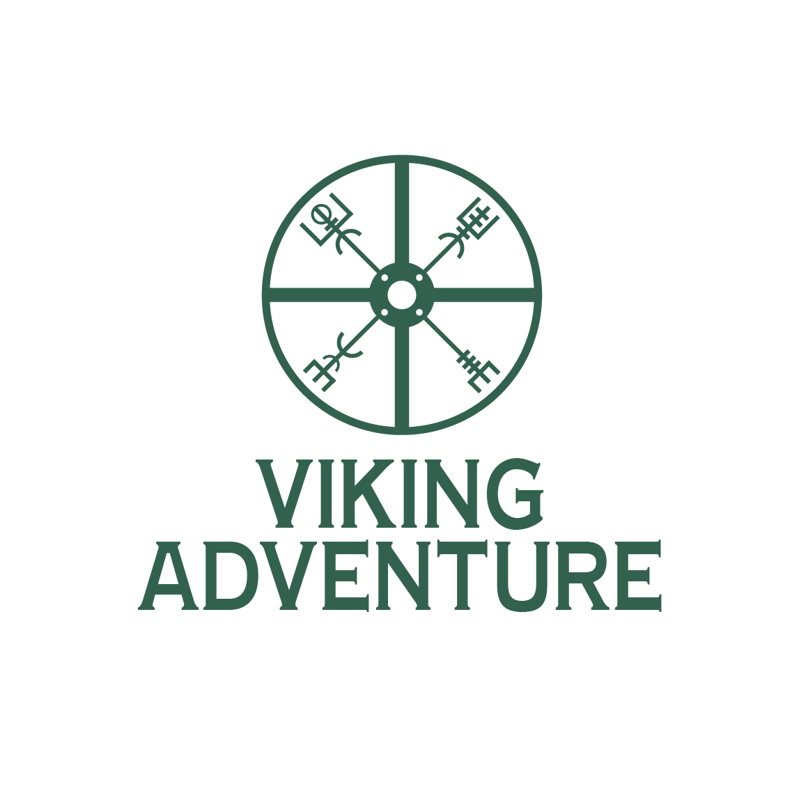 govikingadventure.com icon