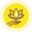 govtpolyreasi.org