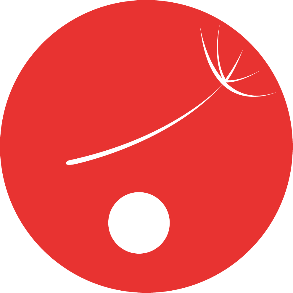 gracemi.com icon