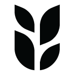 grain.com.sg icon