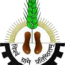gramodayachitrakoot.ac.in icon