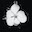 grandiflora.net icon