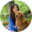 grandpawspetsitter.com icon