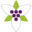 grapegrowersofontario.com icon