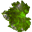 grapevinecottage.com icon