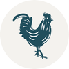 grapevinelocalmarketing.com icon
