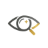 generate quiz from pdf
