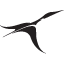 grayloon.com logo