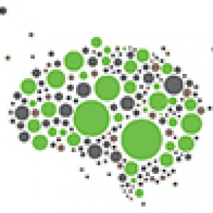 graymatterscap.com icon