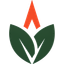 greenanticapitalist.org icon