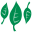 greencentury.com icon