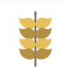greenklub.ru icon
