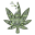 greenscenemarketing.com icon