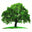 greentreejewelry.com icon