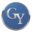 greggyoungcareers.com icon
