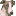 greytalk.com logo