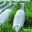 groundscrewinstallations.com icon