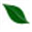 grovesite.com icon
