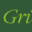 gruenewald-international.com icon
