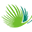 grupopuntacana.com.do icon