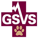 gsvs.org logo