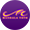 guitarraportuguesa.org icon
