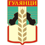 gulyantsi.bg icon