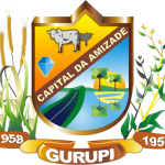 gurupi.to.gov.br icon