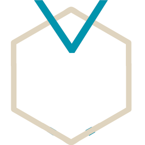 gvcerv.com icon