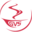 gvsgroup.de icon