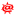 gwiazdor.pl icon