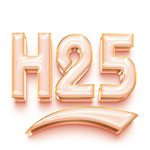 h25.surf icon