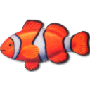 haai.nl icon