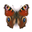 habitas.org.uk icon