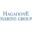 hagadonemarine.com icon