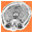 haigreport.com icon