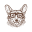 hairofthedogacademy.com icon