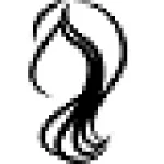 hairstylecamp.com icon