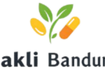 haklibandung.com icon