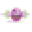 halkradyo.com icon