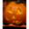 halloween.biz icon