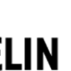 hamelin.net icon