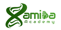 hamidaacademy.com logo