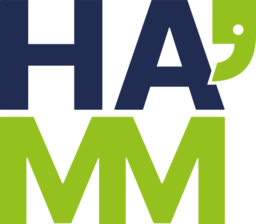 hamm.de icon