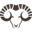 hammel.ch icon